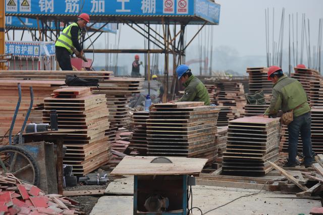 南京财经红山学院，2021南京财经大学红山学院排名（高职园：奋力推进项目建设）