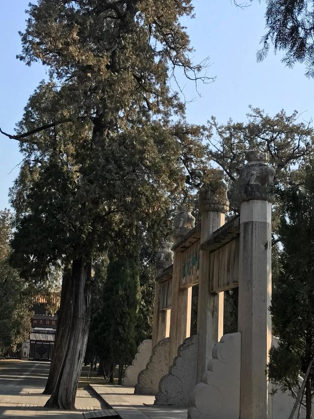 弥高是什么意思，钻之弥坚仰之弥高是什么意思（重游孔庙之—：孔庙的石坊庙门）