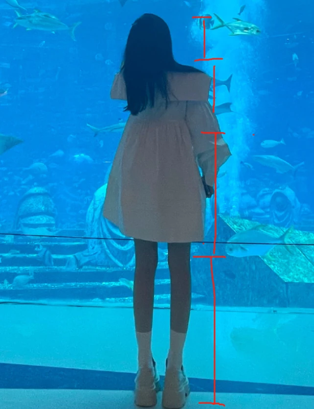 没有整过容的女明星，90年没整过容的女明星（“不老女神”现原形）