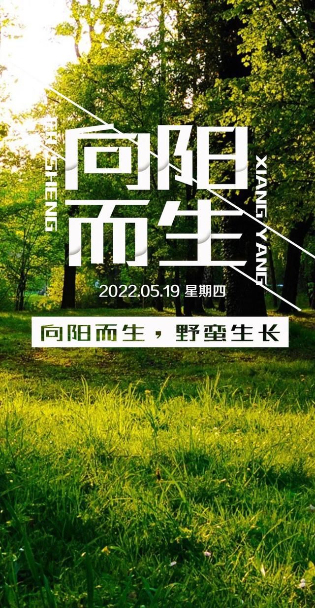 早安语录正能量短句，早安语录正能量短句100字大全（正能量简单语录句子）