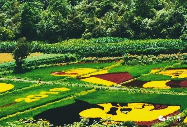 昆明旅游景点，昆明旅游景点一日游（昆明必打卡的30个小众上镜地）