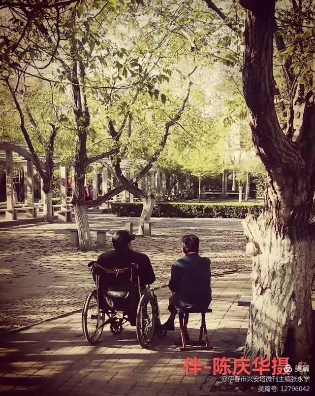 绿色军衣的歌词，绿色军衣歌词（铁十四师战友《辞旧迎新》网上联欢晚会专辑）