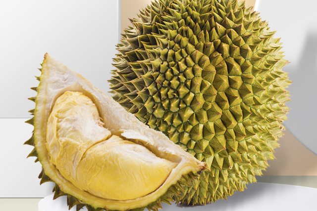 榴莲的品种有几种，榴莲有几种几个品种（榴莲中的猫山王、金枕、托曼尼、黑刺分别指啥）
