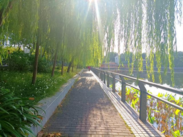 美丽的东湖公园
