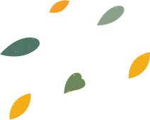 橙花精油的功效与用法，茉莉精油的功效与用法（不同类型老师适合的精油香气推荐）