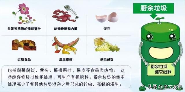 垃圾分类怎么分类，垃圾分类如何分的更详细（您懂得垃圾分类知识吗）