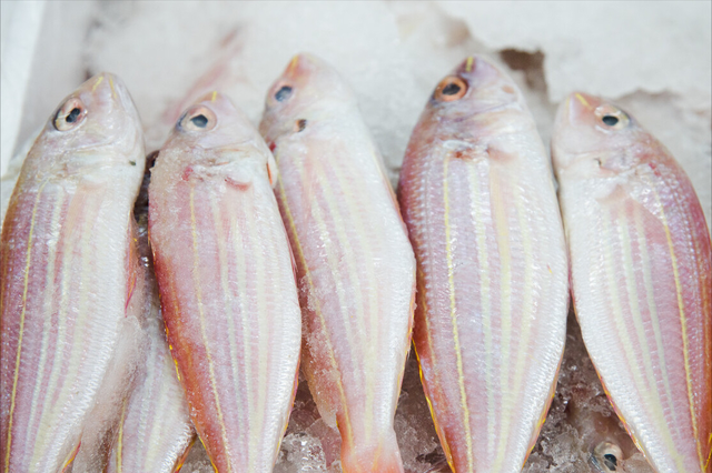 什么鱼适合清蒸，什么鱼适合蒸（带你认识不同的鱼和吃法）