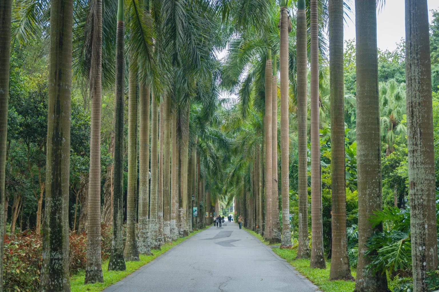 广州旅游攻略景点必去（去过八个以上就很棒）