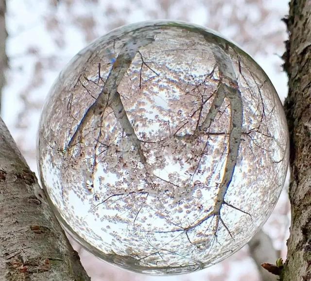 什么的美景，铺满金色巴掌的水泥道描写了什么（自然的美景，爱的诗篇）