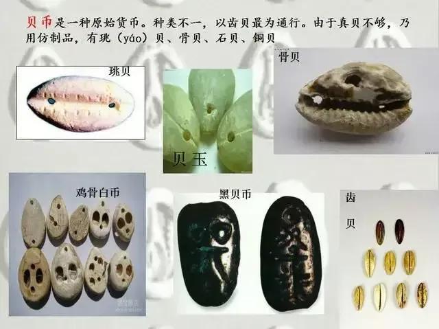 从古至今的钱币的顺序图片，从古至今的钱币顺序图（钱币发展图）