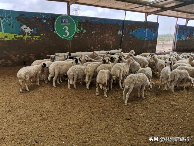 离云南最近的城市，云南省的边境城市有哪些（交通房价医疗都不错）