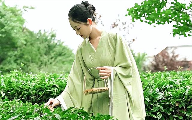 中国十大茉莉花茶，中国十大茉莉花茶叫什么雪（峨眉雪芽飘雪荣获2022全国茉莉花茶十大创新品牌）