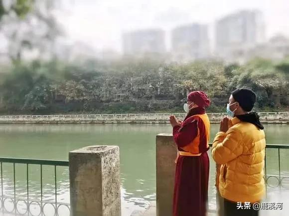 此事无关风与月，无关风与月整句是什么（历谋先生遗作：人生自是有情痴）