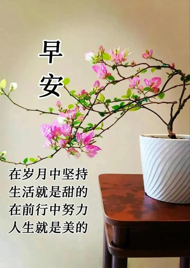03年属什么生肖，03年属什么（2023年04月03日）