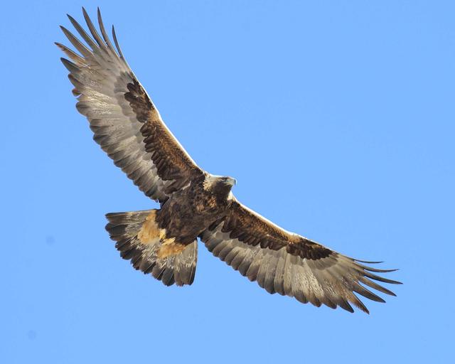 墨西哥为什么说西班牙语，墨西哥人说什么语（带你看看真实的墨西哥）