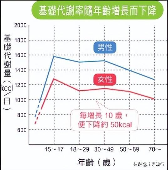 人体有多少块肌肉，人体206块骨头的高清分布图（为什么年龄越大肌肉越少、脂肪越多）