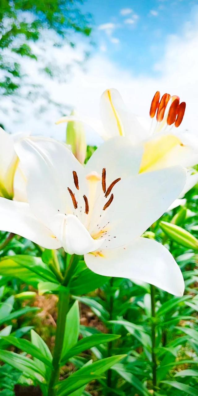 努力的意义是什么，努力的意义是什么图片（女人努力的意义是什么）