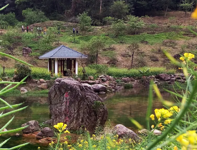 关于李四光的资料，历史人物李四光的资料（李四光找出石油）