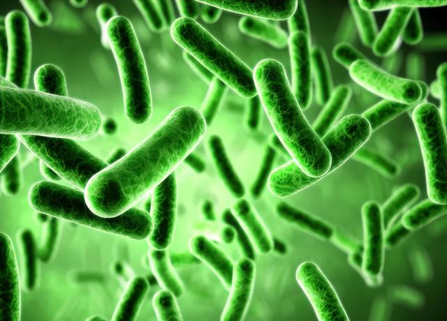 空气净化器对孩子危害，家用空气净化器到底有没有用（细菌危害不能轻视）