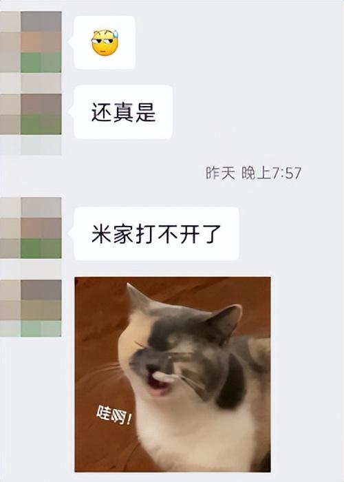 小米alot什么意思，小米miot是什么意思（小米这App炸了）