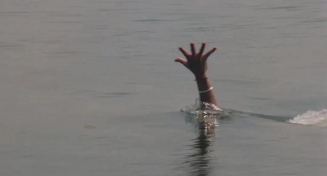 关于蛇的电影有哪几部，关于蛇的电影有哪几部分（评分最高十大怪兽电影）