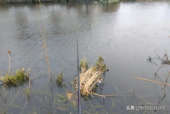 走水中如何钓鱼，走水怎样钓鱼（掌握这几条“法则”）