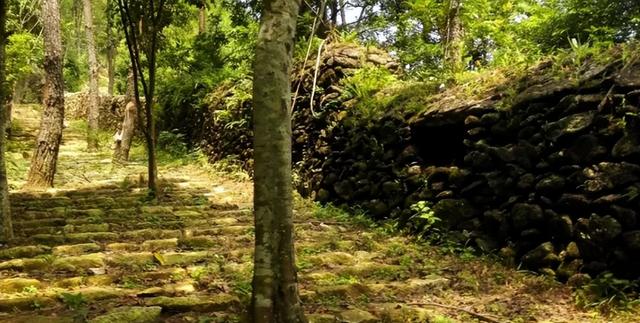 冼夫人，冼夫人简介，冼太夫人故里在高州雷垌的考究整理