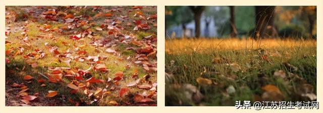 苏州信息职业技术学校，江苏省苏州职业技术学院排名（2023年苏州信息职业技术学院提前招生报考指南出炉）