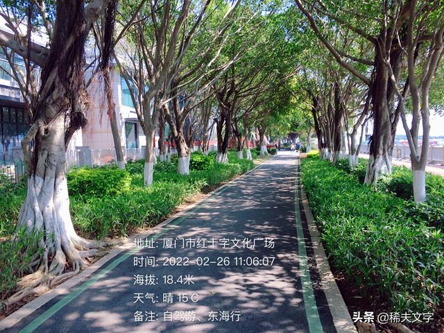 厦门自驾游攻略，厦门自驾游一日游最佳路线（东海行<厦门.五缘湾.九>）