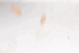 生南瓜子，这4种最健康的坚果（生南瓜子吃了有什么好处和坏处）