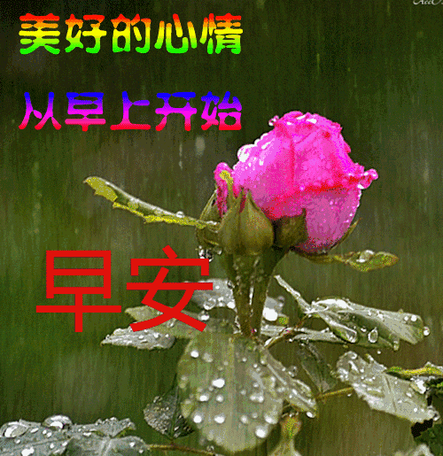 关于美好祝福的句子，关于美好祝福的句子简短（朋友圈早安带字问候朋友图片）