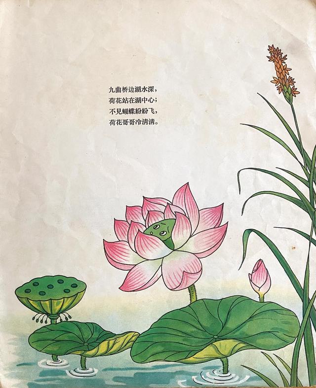 幼儿图画故事，学前儿童故事（幼儿图画故事：《蝴蝶出嫁》）