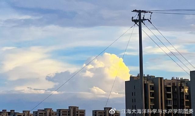 给员工开会的讲话技巧，给员工开会的讲话技巧主管上总结（<职场应酬工作礼仪篇>3）