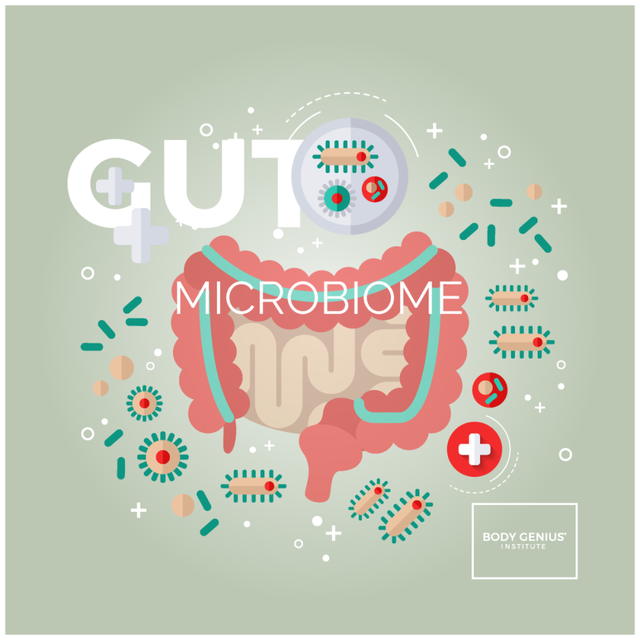 dys是什么意思，dys是什么意思医学（肠道不好为什么容易引发一身病）