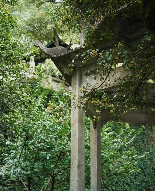 水面初平云脚低,水面初平云脚低的意思(孤山寺北贾亭西)
