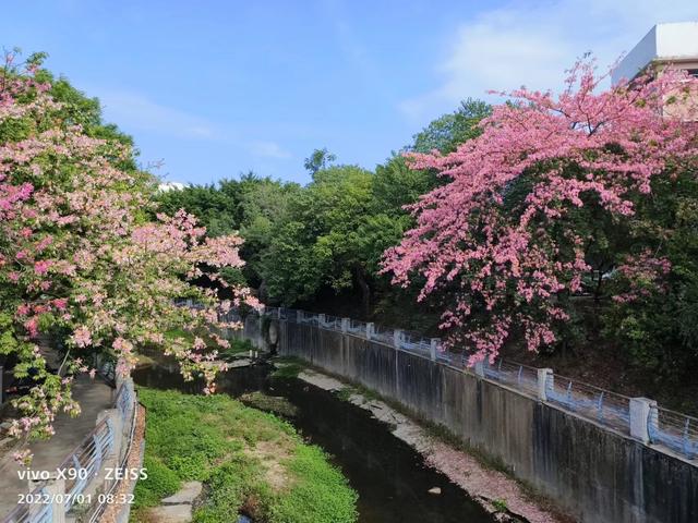 vivo拍照设置显示时间，vivo手机拍照片怎么添加时间和地点水印（影像升级，性能拉满：vivo）
