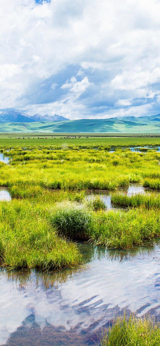 精选唯美养眼大自然风光图片壁纸，壁纸图片 风景 绿色 养眼（大自然绝美风光壁纸好看又养眼）