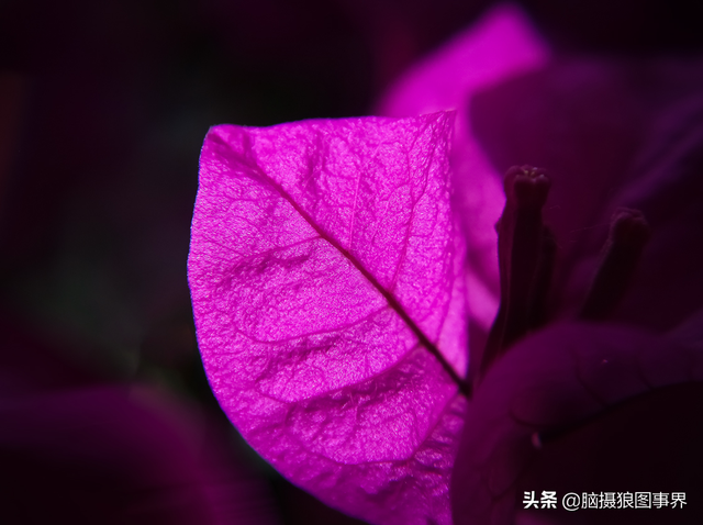拍照片基本技巧，拍照片基本技巧和方法（可以提升照片的美感）