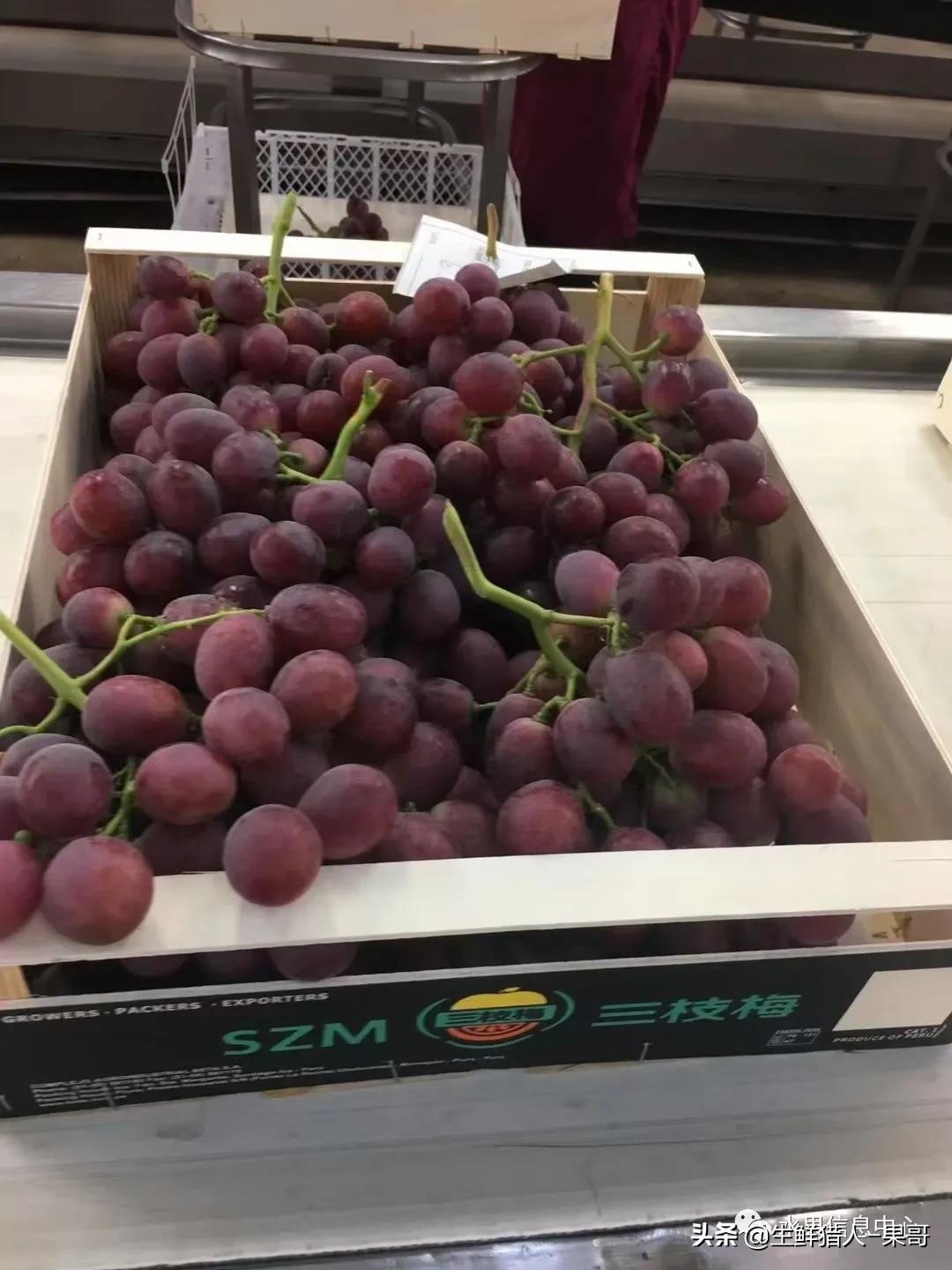 浆果是什么，浆果是什么软件（不同水果的不同包装<浆果篇>）