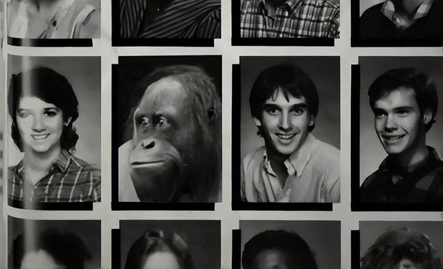 多妈简笔画叠起来的被子，儿童简笔画叠被子（试图成为人类却被囚禁30年）