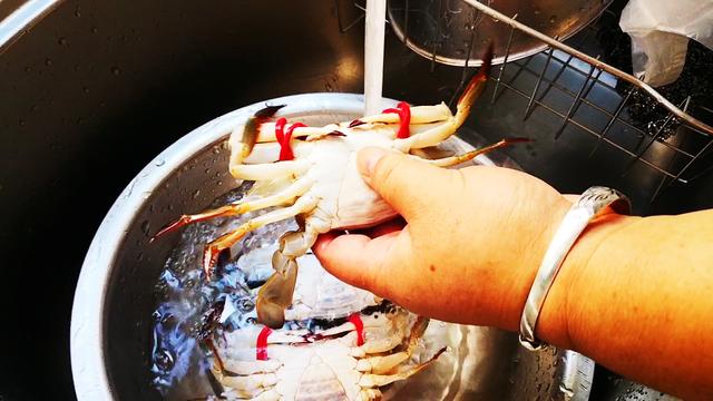 蒸螃蟹是冷水下锅还是热水下锅，蒸螃蟹是冷水下锅还是热水下锅 紫苏（蒸的螃蟹不漏黄不掉腿）