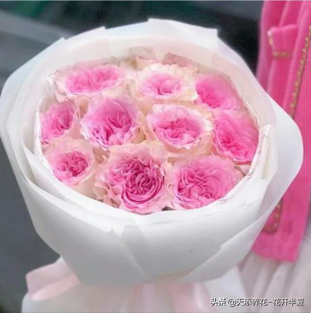 11朵玫瑰代表什么意思，十一朵玫瑰代表什么意思（不同颜色玫瑰花代表含义是什么）