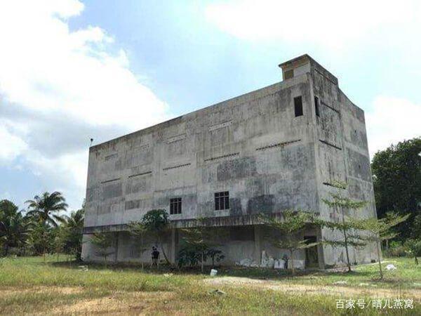 燕窝多少钱一斤，燕窝价格多少一斤（小哥筑屋引燕一个月产5斤燕窝）