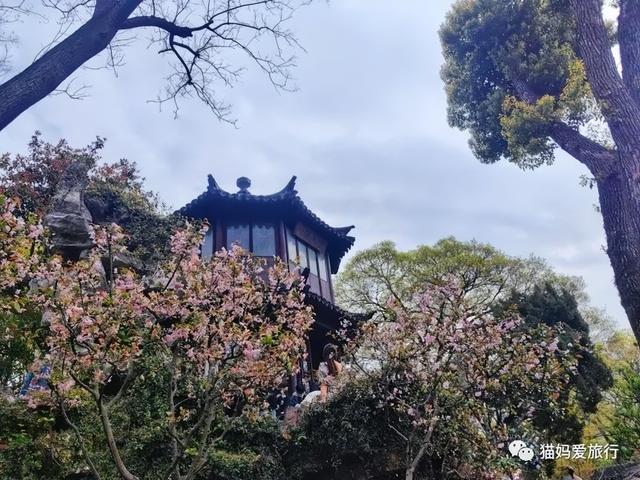 苏州山塘街攻略，苏州山塘街美食最强攻略（周末轻松苏州游）