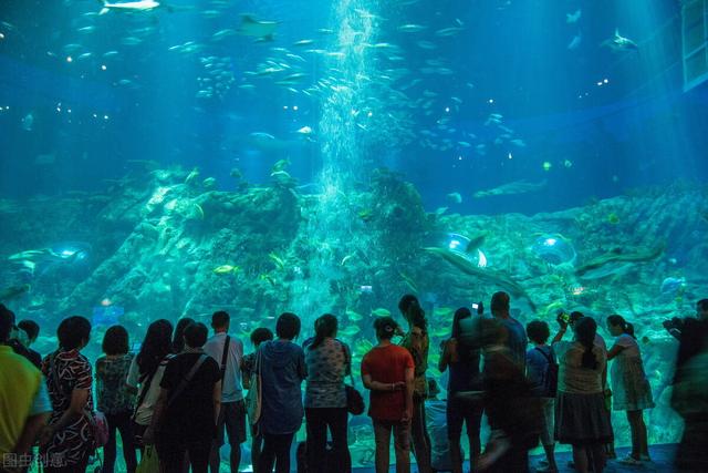 铜锣湾有什么好玩的，铜锣湾好吃的地方（香港回归25周年）