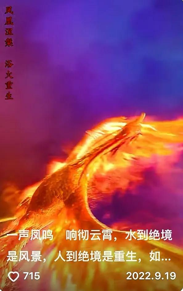 让我们红尘作伴活的潇潇洒洒，让我们红尘作伴活的潇潇洒洒歌词（有人错把25万冥币寄给了杨槠策）