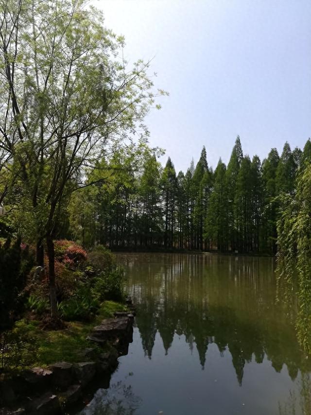 武汉青山公园，林木幽深岁月静好，真的太美了