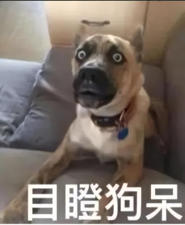 塌房人是什么梗，楼塌了什么梗（徐嘉余疑似劈腿前女友）