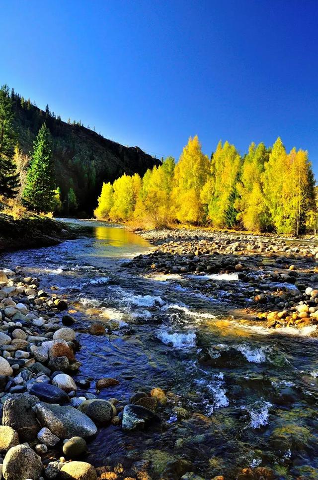 夕阳无限好歌词，陈奕迅单车表达了什么意思（夕阳无限好）