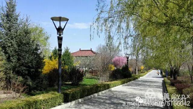 南山公园在哪里，深圳大南山公园开放时间（这是你们熟悉的那个南山公园吗）